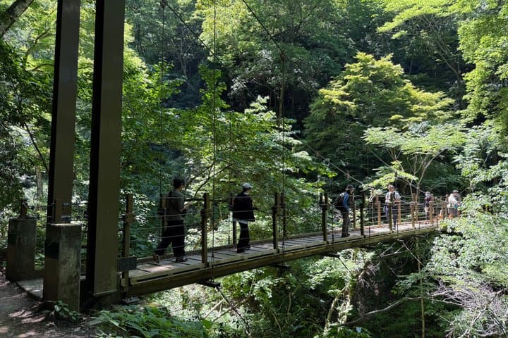 Private Mt. Takao Hike & Onsen from Shinjuku with Ex-JR Conductor