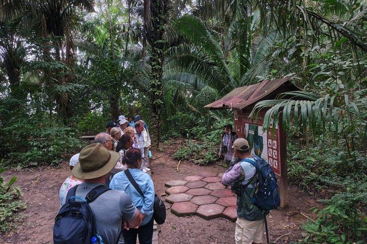 Tambopata VIP 3dias Wildlife Tour Peru
