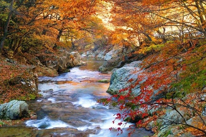 Private Tour to Nikko – Temples, Waterfalls & Nature