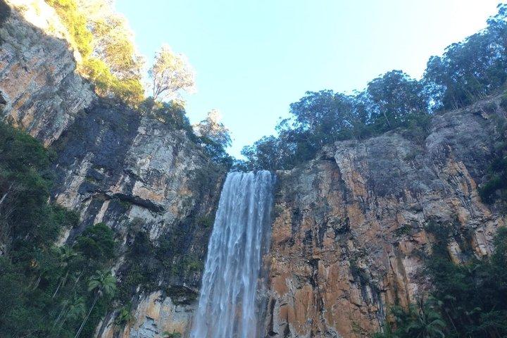 Gold Coast Hinterland Waterfalls & Rainforest Private Tour