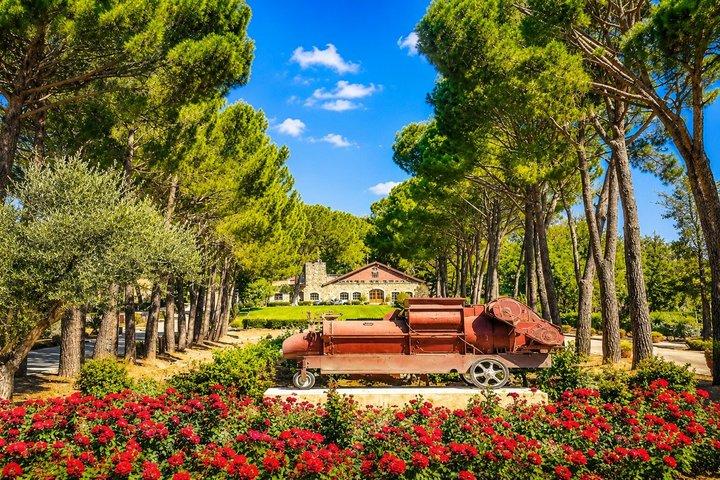 Private Bekaa Valley Wine Tour | Ksara, Kefraya & Saint Thomas