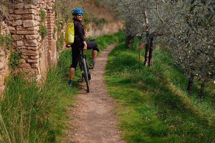 Assisi - Ebike tour to Spello and Bevagna