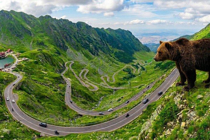 Small-group max 7 pax, with Pick-up, Top Gear Road Transfăgărăşan