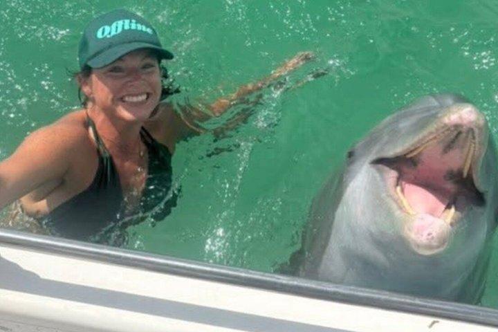 3 Hour Private Shell Island Dolphin and Snorkeling Tour
