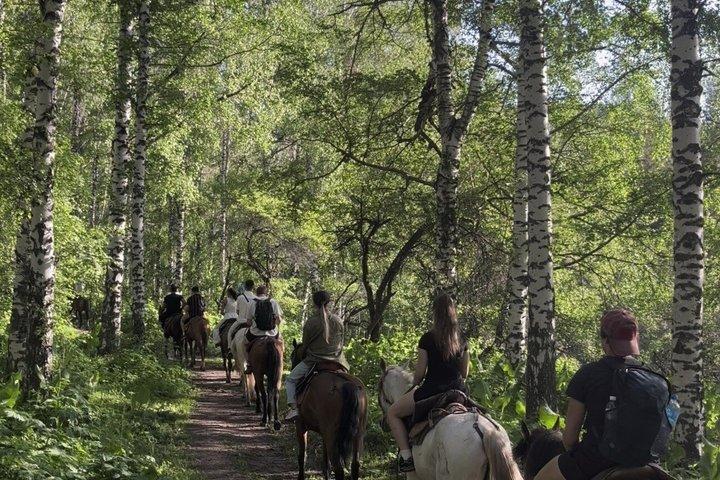 Scenic Horseback Riding Experience in Ile-Alatau National Park