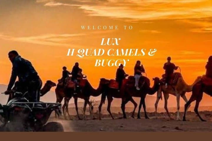 Marrakech Agafay Desert Quads&ATVs & Camel ride & Dinner shows