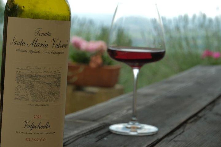 Discover Valpolicella Vineyards and Wine Tasting Experience