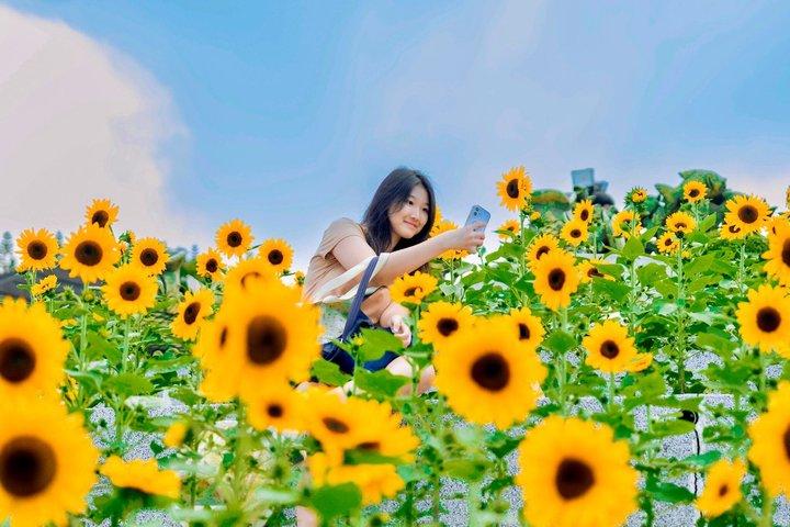 Guided Ba Na Hills & Golden Bridge Day Tour from Hoi An/Da Nang