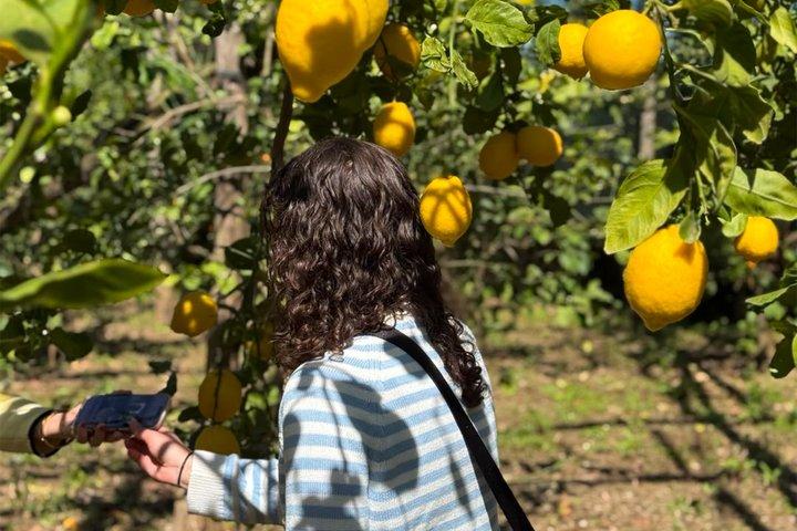 Sorrento: Gluten Free Cooking Class with a Professional Chef