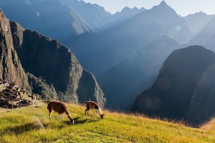 Machu Picchu Full Day Tour from Cusco
