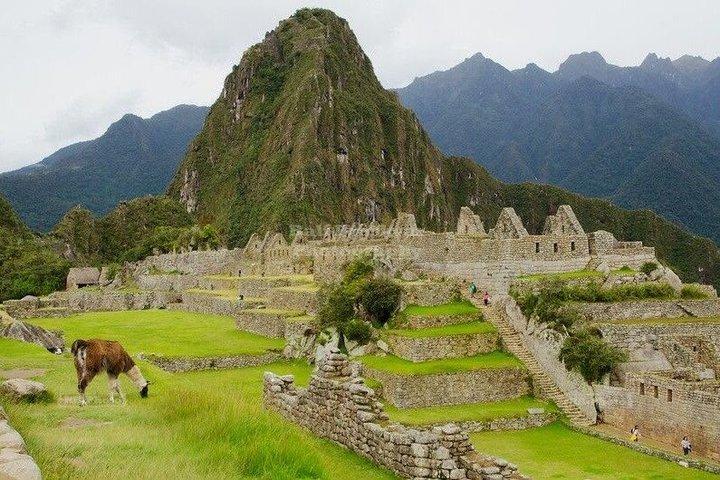 Machu Picchu Full Day Tour from Cusco