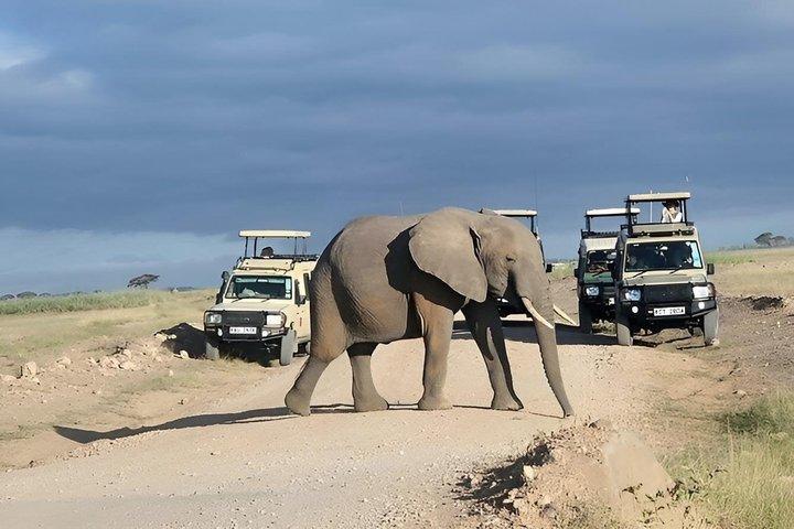 Overnight Tsavo East Safari From Mombasa or Diani