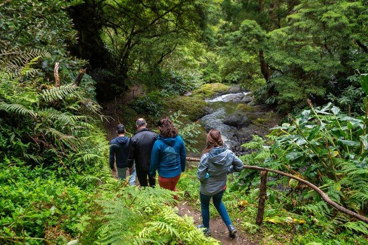 Chasing Waterfalls in the Azores: Nature Tour