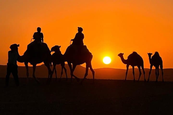 Best Agafay Desert Quad Bike, Camel Ride & Dinner Show