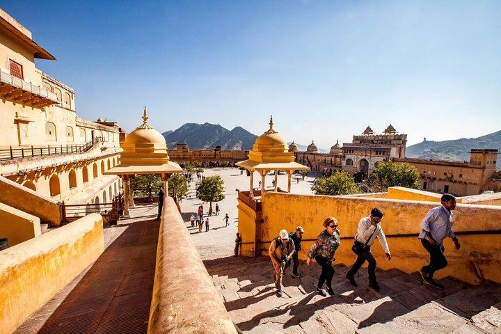 Jaipur Half Day Tour with Amer Nahargarh Fort and Monkey Temple