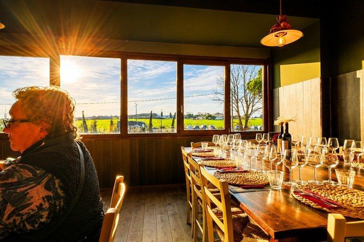 Pisa, San Gimignano & Chianti Day Trip with Lunch & Wine Tasting