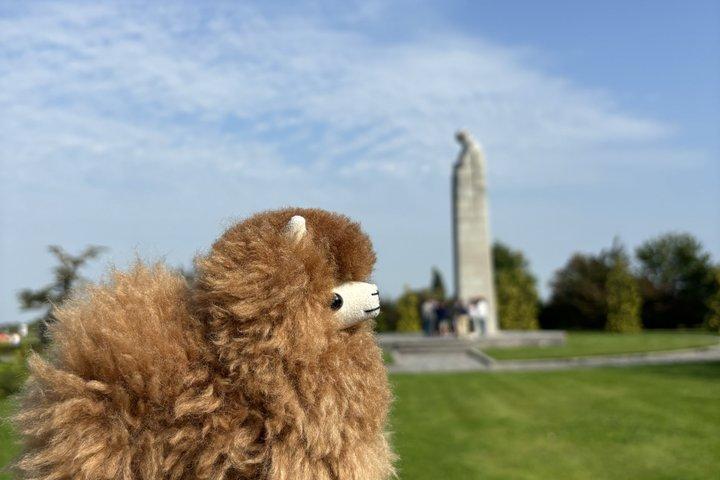 Private World War I Battlefield Tour from Brussels to Flanders