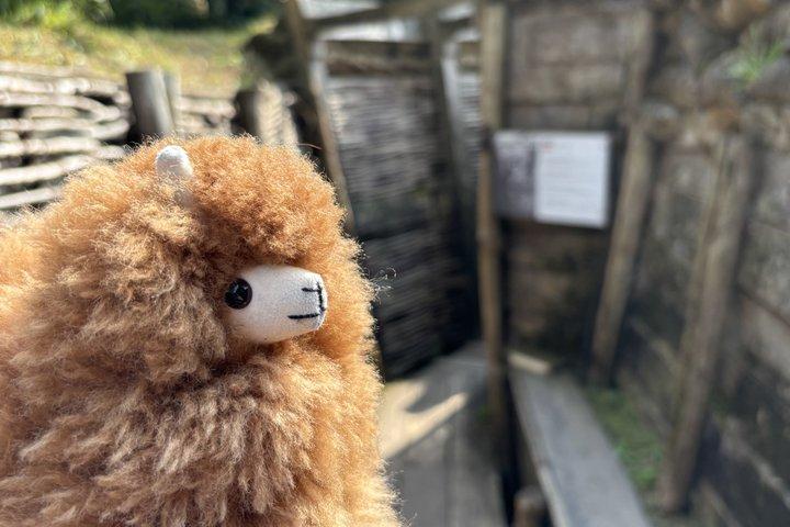 Private World War I Battlefield Tour from Brussels to Flanders