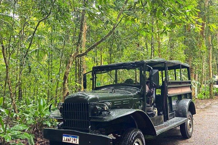 Tour de Jeep pela Floresta da Tijuca, Cachoeiras e Mirantes