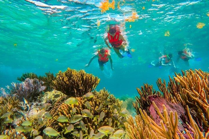 3 Hidden Cenotes Experience & Puerto Morelos Reef Snorkeling