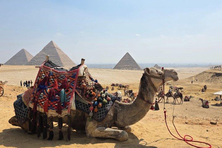 Private VIP Giza Pyramids, Sphinx & New Grand Egyptian Museum GEM