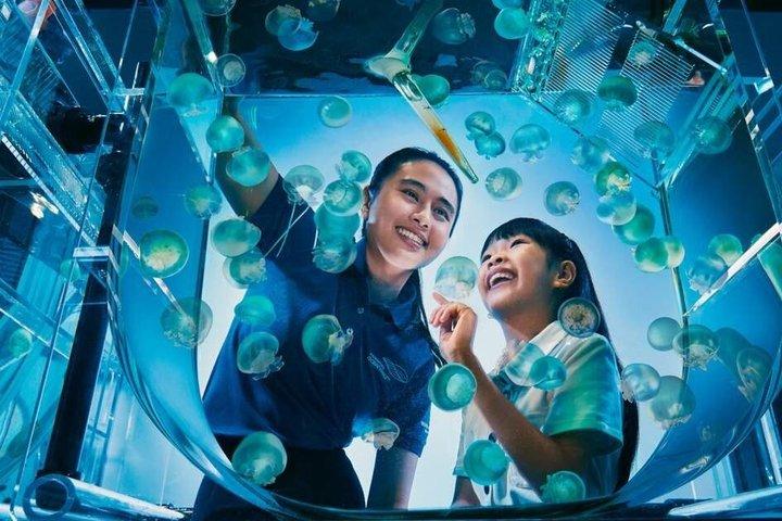 Singapore Oceanarium Admission Ticket