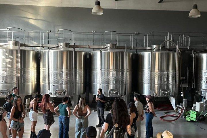 Chocolates and Olive Winery Tour in Mendoza
