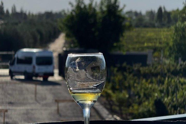 Chocolates and Olive Winery Tour in Mendoza