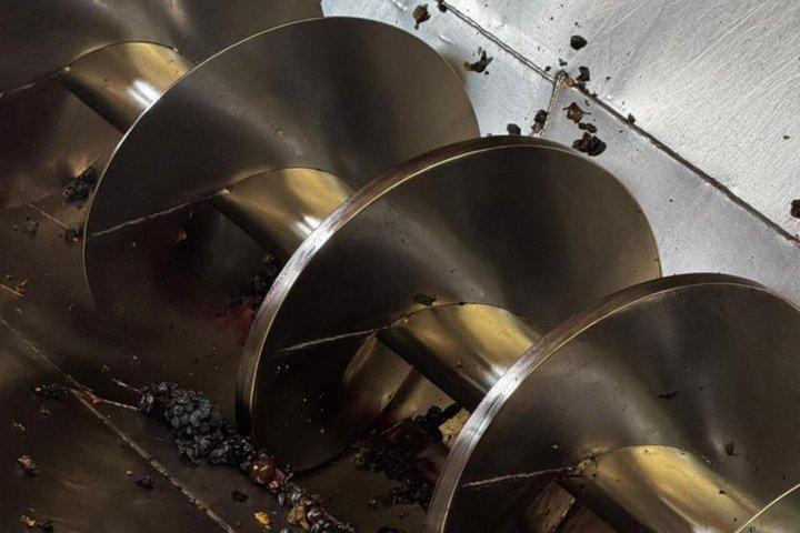 Chocolates and Olive Winery Tour in Mendoza