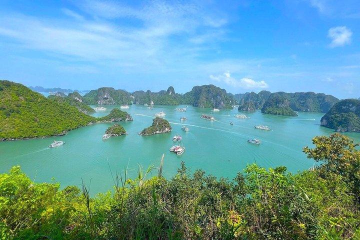 Elite of the Sea- Luxury Overnight Cruise in Ha Long & Lan Ha Bay