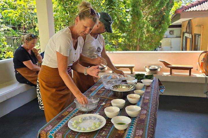 Koh Samui Elephant Sanctuary and Island Life Experience