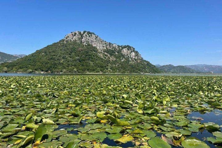 Best of Montenegro Combo Skadar Lake and Old Town Bar