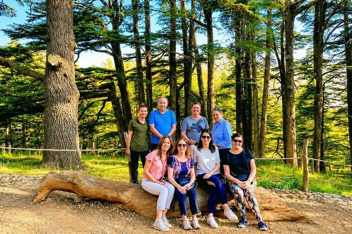 Small-Group Tour Qadisha Valley, Becharre and Cedars with Lunch and Tickets