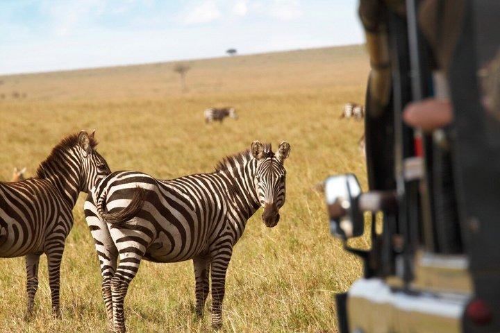 From Zanzibar: 2-Day Selous Safari with Flights & Lodge Stay