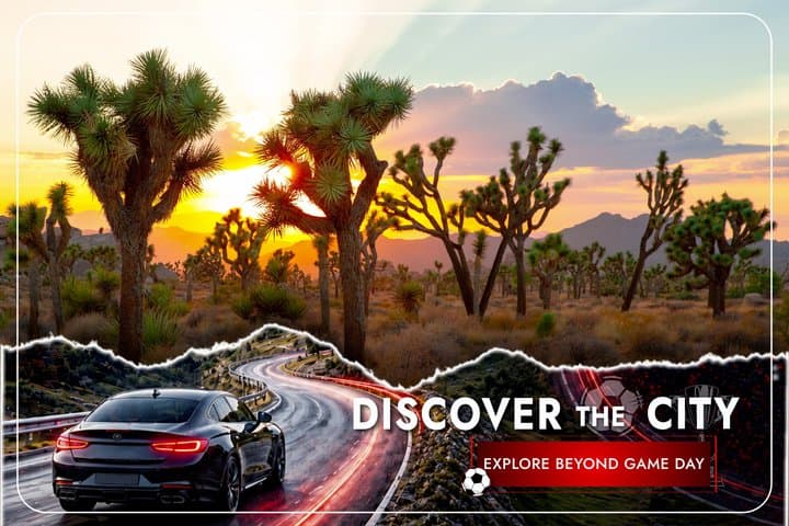 Self-Guided Driving Audio Tour in Joshua Tree National Park