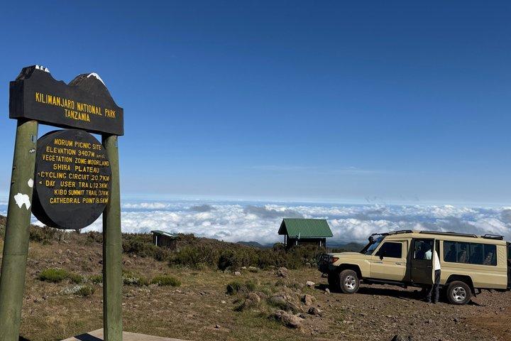 Kilimanjaro Climbing by Car Day Trip