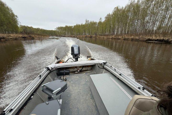 Guided Fishing Adventure On The Chena River By Boat
