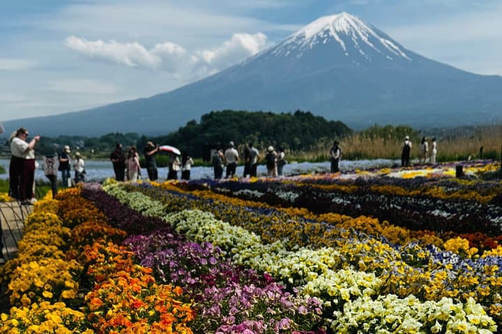 Mt.Fuji and Hakone Private Tour With Guide