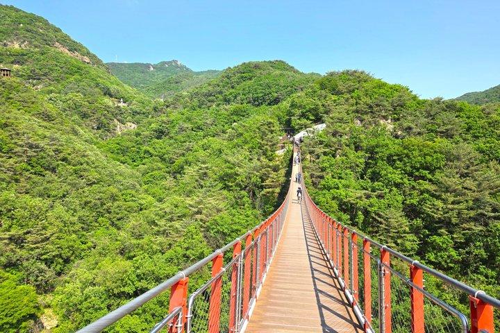 Private Hotel Pickup History DMZ Tour & Suspension Bridge