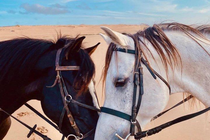 Agadir Beach Horse Riding Experience with Tea Break