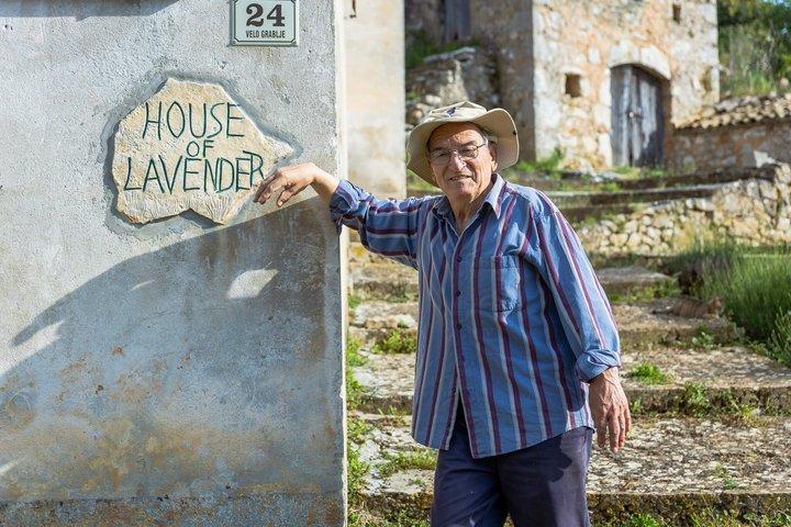 Hidden Hvar Eco Tuk Tuk Tour: Lavender Fields, Villages & Views