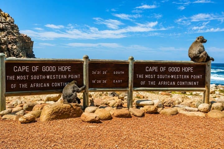 Cape of Good Hope, Cape Point & Penguins Private customizable Full Day Tour
