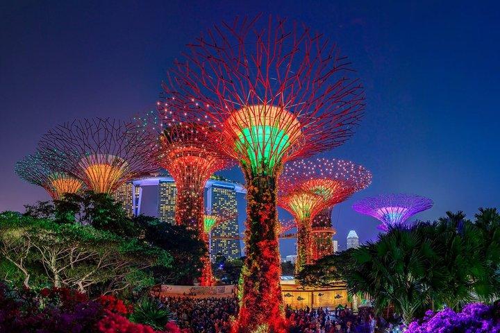 Singapore Night River Cruise, Garden Rhapsody & Spectra