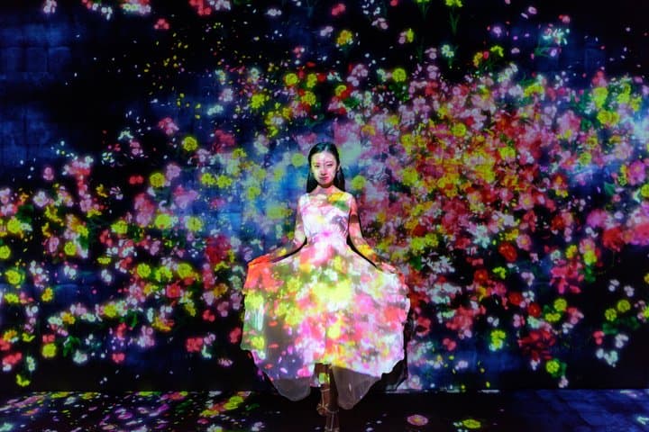 Kyoto Private Morning Tour: Fushimi Inari & teamLab Biovortex