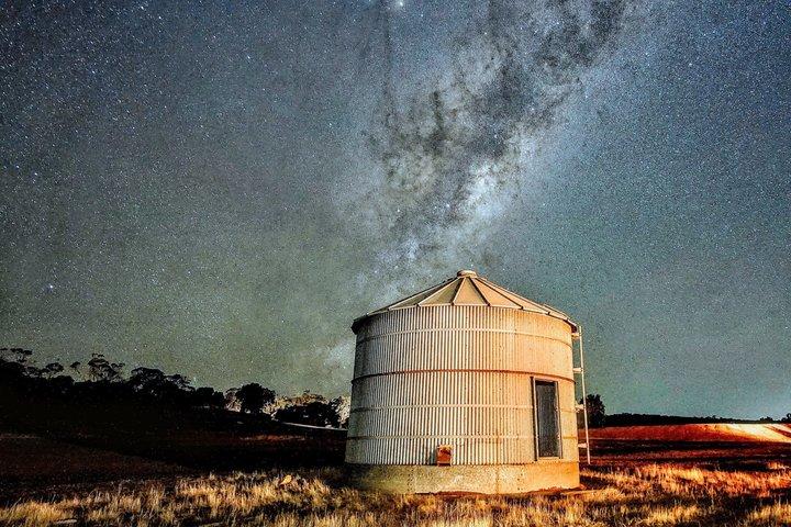 Perth Wildlife Tour Under the Stars with Dinner