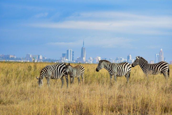 Nairobi National Park Half-Day Game Drive with Hotel Pickup