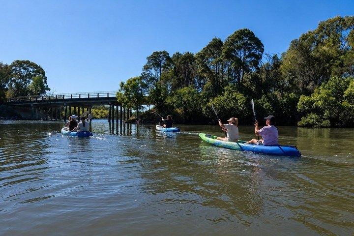 Noosa Heads: Epic Hidden Waterways & Wildlife Kayak Tour