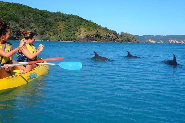 Epic Kayak With Dolphins & Wildlife - 4WD Beach Adventure Noosa