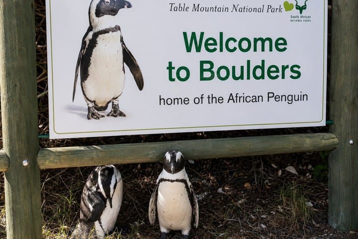 Cape of Good Hope, Cape Point & Penguins Private customizable Full Day Tour