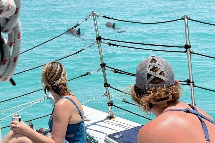 Shallow Water Snorkeling and Dolphin Watching in Key West